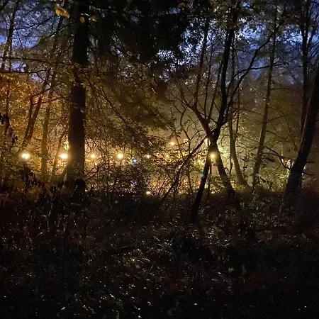 Waldhotel Silbermuehle Horn-Bad Meinberg