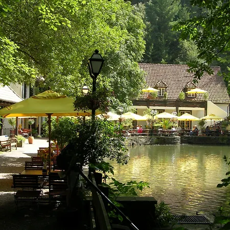 Waldhotel Silbermuehle 3* Horn-Bad Meinberg