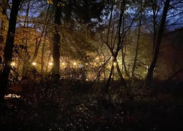 Waldhotel Silbermuehle Хорн-Бад-Майнберг